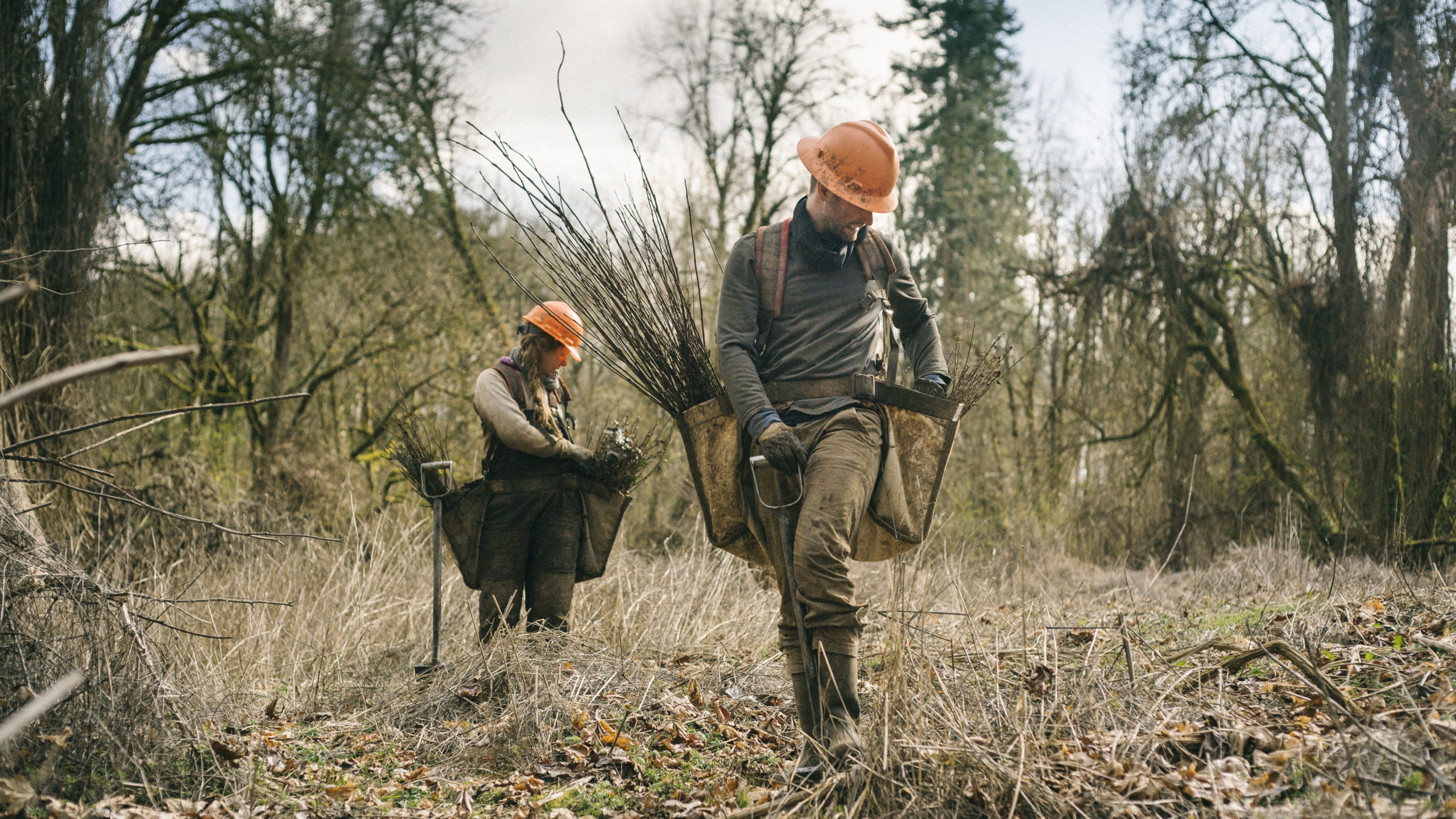 One Tree Planted - Willamette Valley Restoration